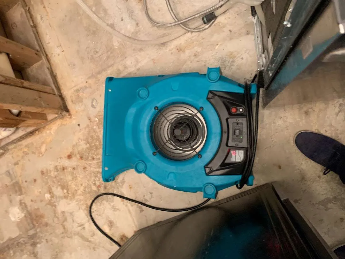 Air mover drying equipment for Mold Remediation & Removal in Holmdel